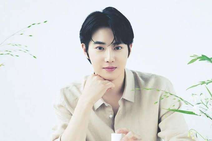 Suho Exo Gelar Konser Solo Di Jakarta Agustus Vibrance